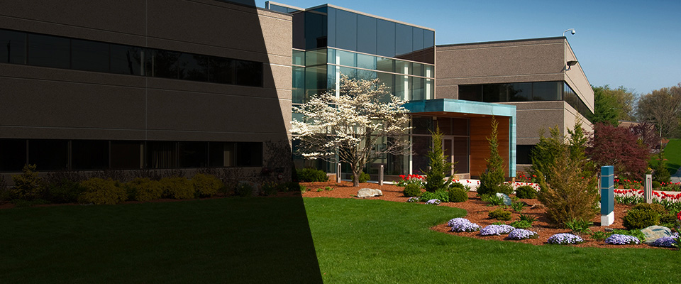 Albia Landscapers