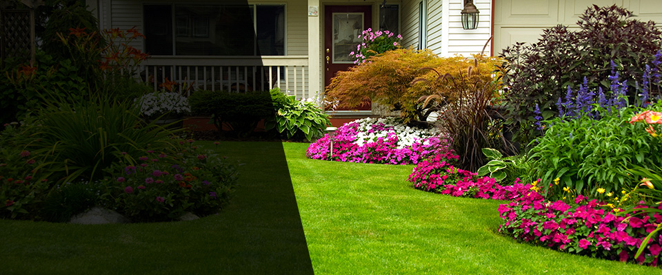 Albia Landscapers