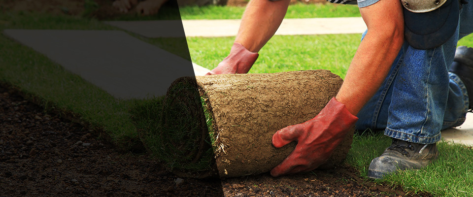 Albia Landscapers
